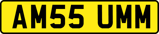 AM55UMM