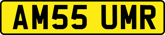 AM55UMR