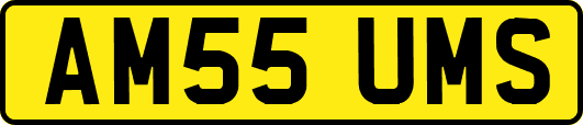 AM55UMS