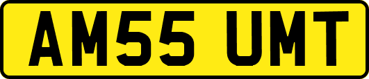 AM55UMT