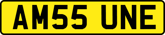 AM55UNE