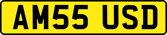 AM55USD