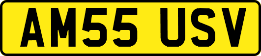 AM55USV