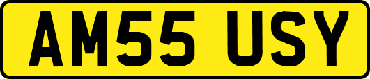 AM55USY
