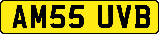 AM55UVB