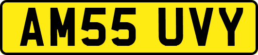 AM55UVY