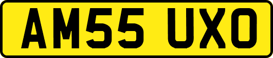 AM55UXO