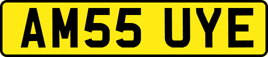 AM55UYE