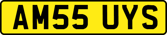 AM55UYS
