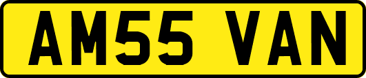AM55VAN