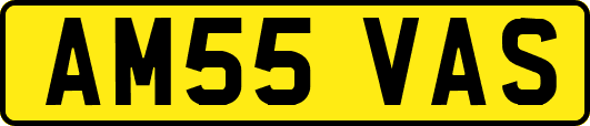 AM55VAS