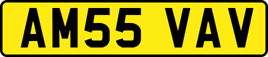 AM55VAV