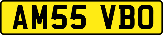 AM55VBO