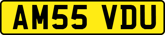 AM55VDU