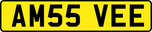 AM55VEE