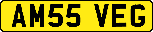 AM55VEG