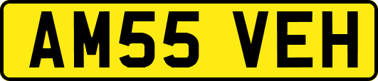 AM55VEH