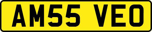 AM55VEO