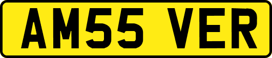 AM55VER