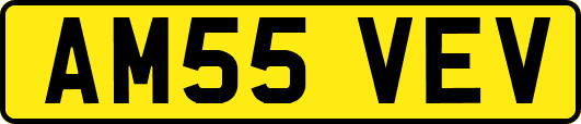 AM55VEV