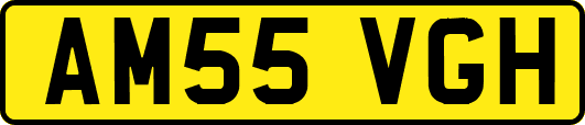 AM55VGH