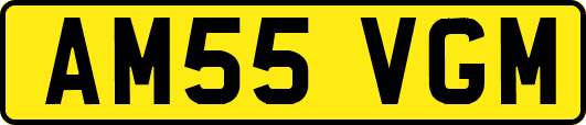 AM55VGM