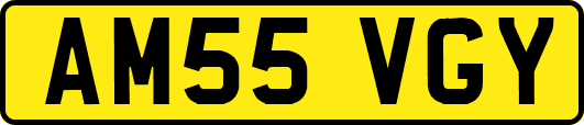AM55VGY