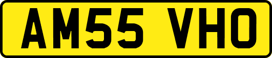 AM55VHO