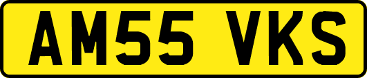 AM55VKS