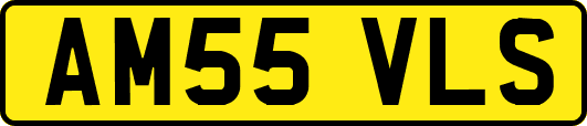 AM55VLS