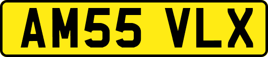 AM55VLX
