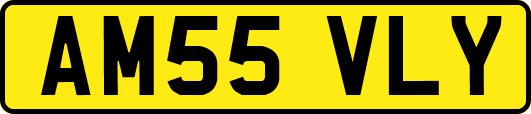 AM55VLY