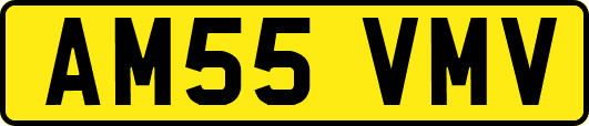 AM55VMV