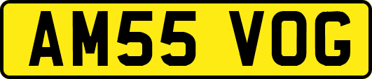 AM55VOG