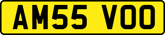 AM55VOO