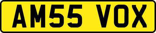 AM55VOX