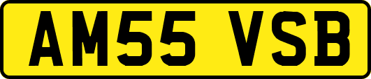 AM55VSB