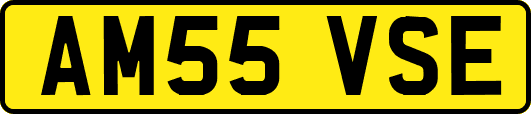 AM55VSE