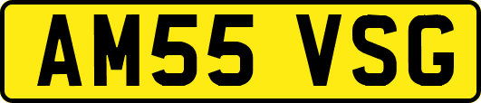 AM55VSG