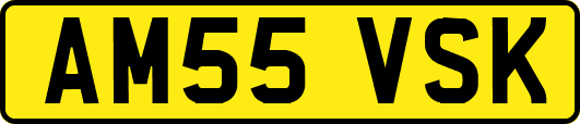AM55VSK