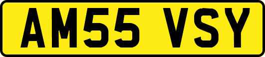 AM55VSY