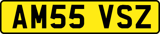 AM55VSZ