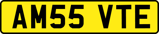 AM55VTE