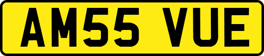 AM55VUE