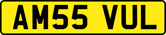AM55VUL