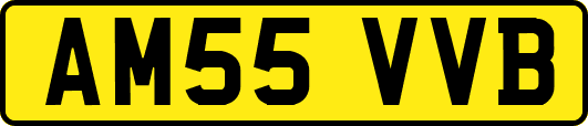 AM55VVB