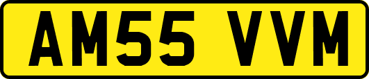AM55VVM