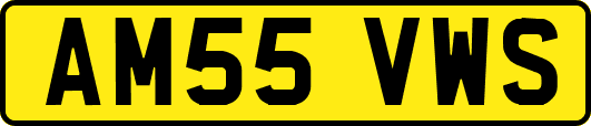 AM55VWS