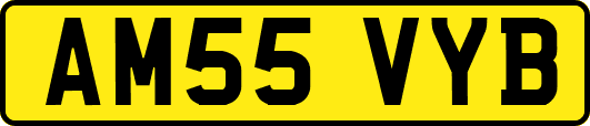 AM55VYB
