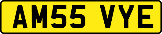AM55VYE